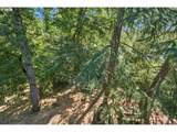 4000 Carman Dr - Photo 17