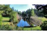86764 Sydnam Ln - Photo 38
