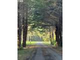 86764 Sydnam Ln - Photo 47