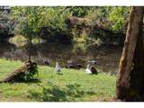 39582 Little Fall Creek Rd - Photo 41