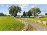32852 Thorny Grove Ln - Photo 43