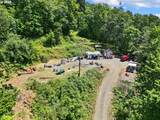 29015 Brownsville Rd - Photo 4