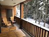 31250 Collins Lake Rd - Photo 5