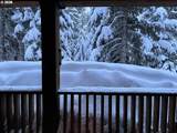31250 Collins Lake Rd - Photo 6