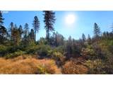  Hunter Rd - Photo 7