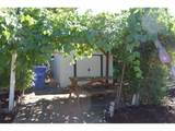 641 148TH Ave - Photo 24