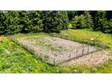 11855 Jed Ct - Photo 37