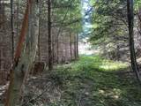0 Glenn Creek Rd - Photo 2
