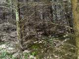0 Glenn Creek Rd - Photo 5