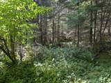 0 Glenn Creek Rd - Photo 6