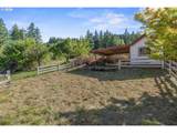 2605 Mt Brynion Rd - Photo 33