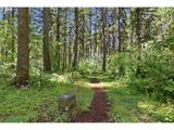 55406 Delta Rd - Photo 36