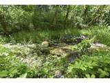 55406 Delta Rd - Photo 41