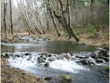 55406 Delta Rd - Photo 42