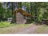 55406 Delta Rd - Photo 46