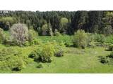 31080 Firdale Rd - Photo 33