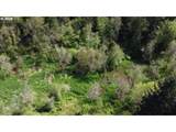 31080 Firdale Rd - Photo 34