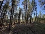 39612 Sumpter Valley Hwy - Photo 33
