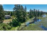 33247 Wood Duck Ln - Photo 4