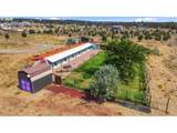 7317 Sparrow Dr - Photo 7