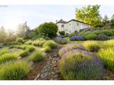 29475 Miller View Ln - Photo 38