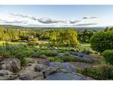 29475 Miller View Ln - Photo 46