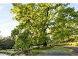 29475 Miller View Ln - Photo 47