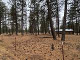 531 Cushman Rd - Photo 26
