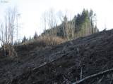 000 Abiqua Dam (Small) - Photo 3