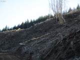000 Abiqua Dam (Small) - Photo 4