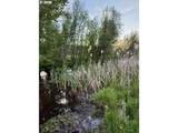 222 Bear Creek Rd - Photo 13