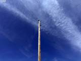  Tinsel Rd - Photo 14