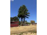 88640 Bill Creek Ln - Photo 29