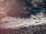  Bark Loop - Photo 12