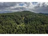 4300 Oak Hill Rd - Photo 41