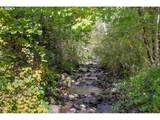 78548 Rat Creek Rd - Photo 16