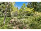 78548 Rat Creek Rd - Photo 18