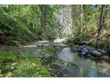 78548 Rat Creek Rd - Photo 20