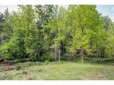 78548 Rat Creek Rd - Photo 21