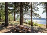 78548 Rat Creek Rd - Photo 31