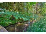 21520 Eastview Rd - Photo 39