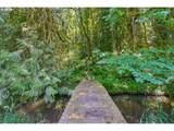 21520 Eastview Rd - Photo 42