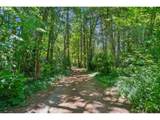 21520 Eastview Rd - Photo 43