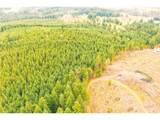  Anthony Creek Rd - Photo 13