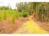  Anthony Creek Rd - Photo 14