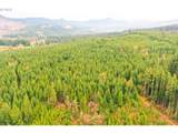  Anthony Creek Rd - Photo 17