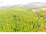  Anthony Creek Rd - Photo 20