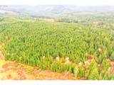  Anthony Creek Rd - Photo 25