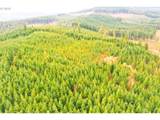 Anthony Creek Rd - Photo 29