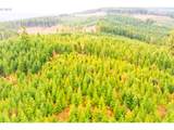  Anthony Creek Rd - Photo 31
